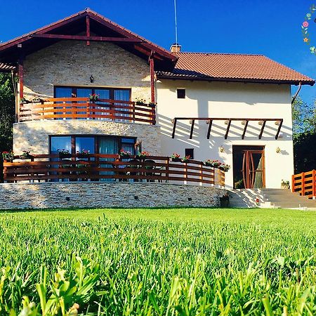 Pensiunea Casa Florela Capusu Mic Exterior photo